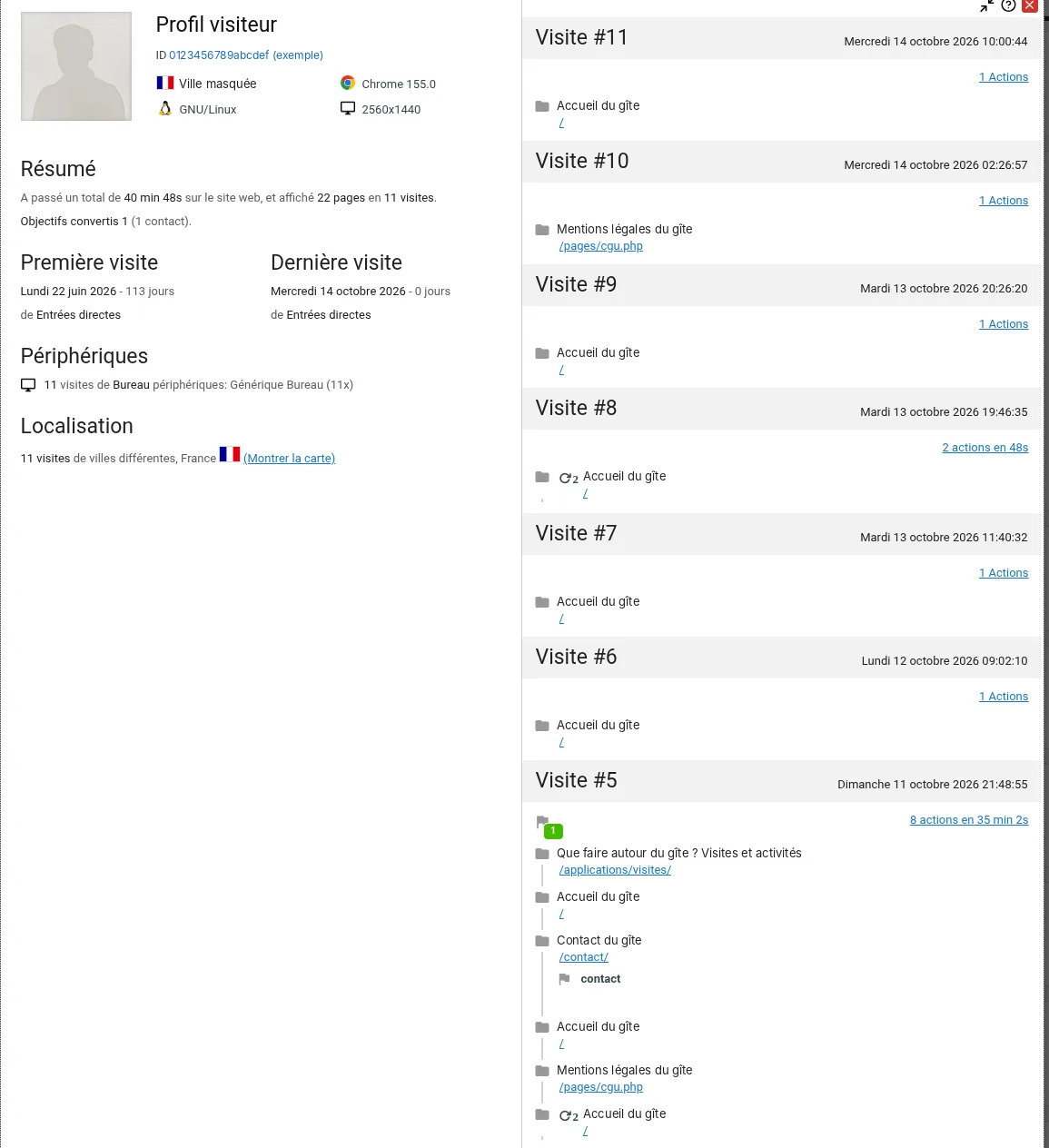 Profil d’un visiteur dans Matomo : onze visites, pages consultées, appareil et durée