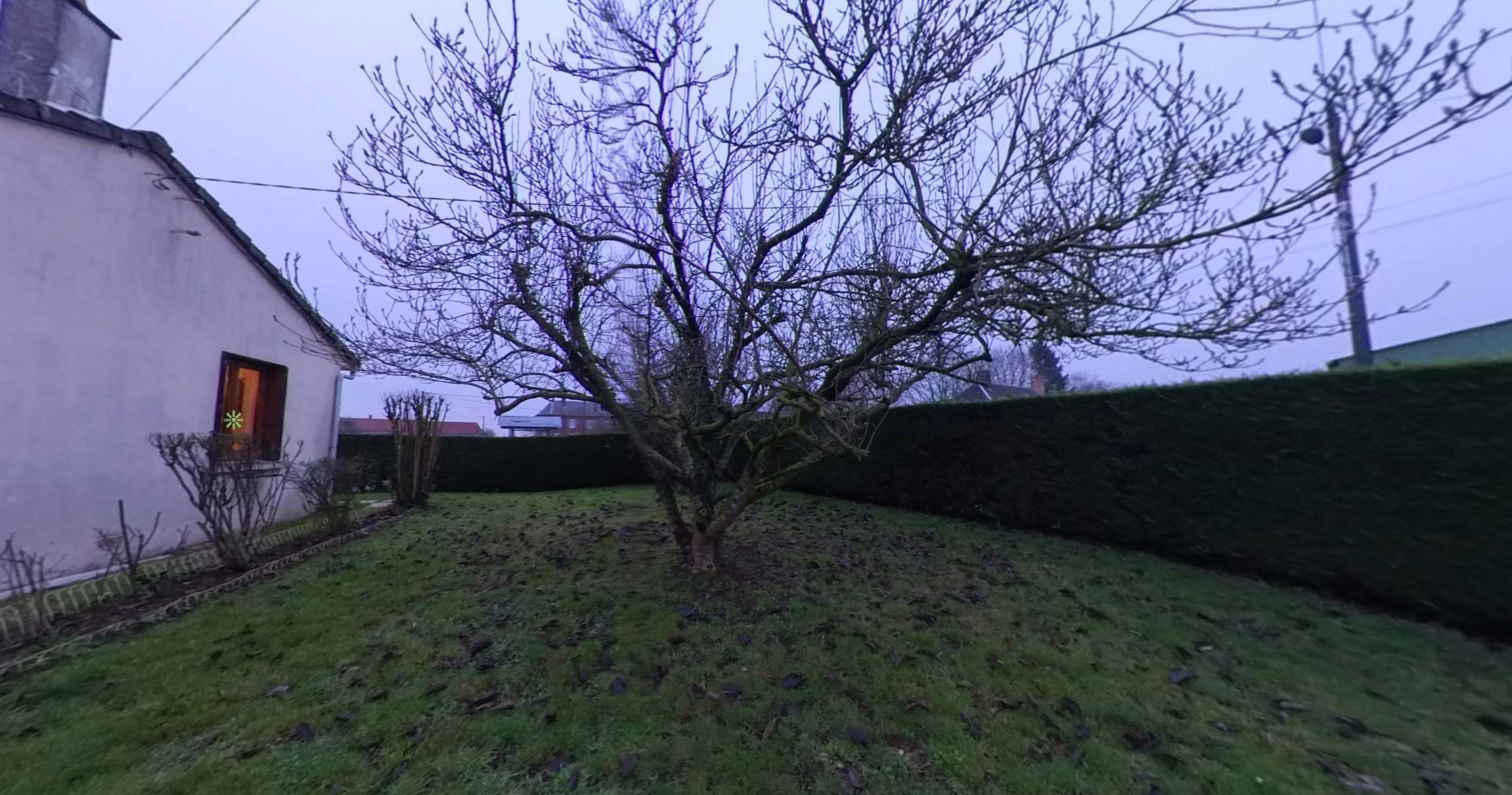 Le jardin de devant